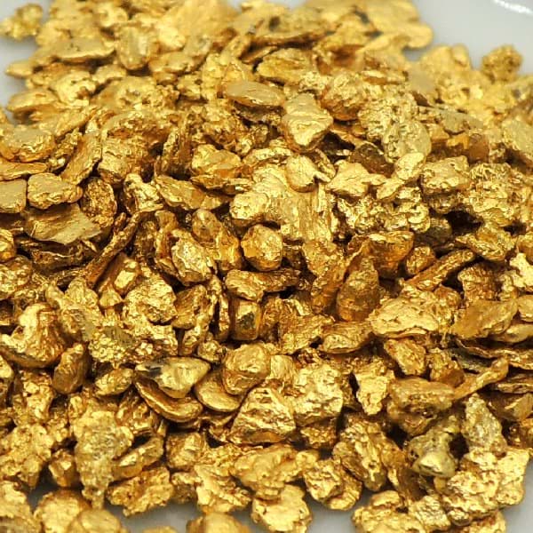 NATÜRLICHE MINI GOLD FLOCKEN / NUGGETS / GOLD NUGGETS  min. 1,000 Gramm  # 10 mesh, Yukon - Alaska