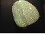 46,44 Cts. Echter, natürlicher Black Opal aus Lightning Ridge