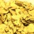 NATRLICHE MINI GOLD FLOCKEN / NUGGETS / GOLD NUGGETS min. 0,500 Gramm - # 8 - # 10 mesh, Mammoth Creek Alaska, glnzend, wertvoll !
